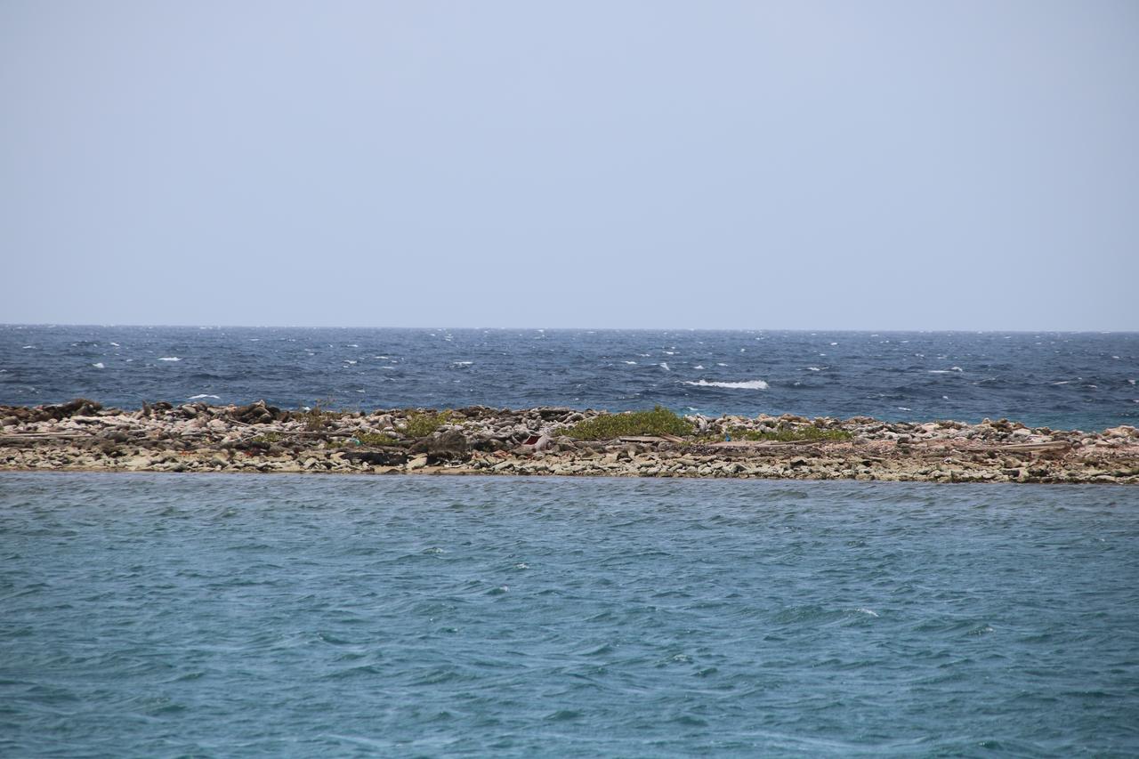 Coral Reef Beach Savaneta Экстерьер фото